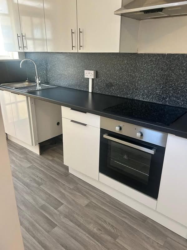 Sage green kitchen in a small flat, cleaned and tidy
